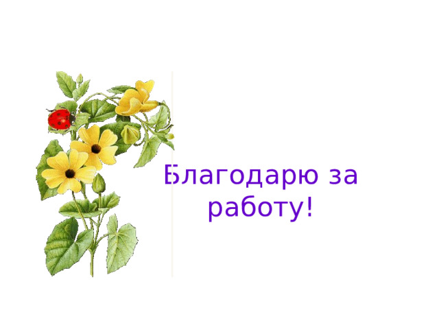 Благодарю за работу! 