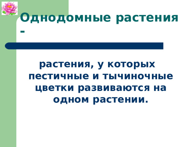 Однодомные растения - растения, у которых пестичные и тычиночные цветки развиваются на одном растении. 