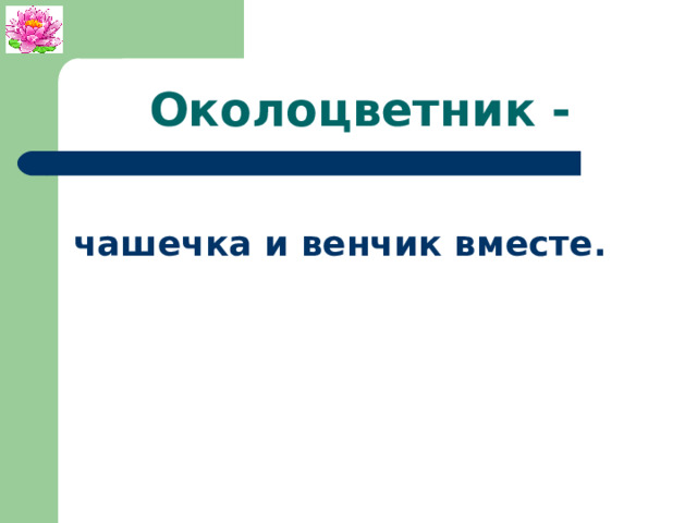 Околоцветник - чашечка и венчик вместе. 