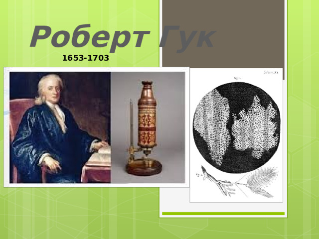 Роберт Гук 1653-1703  