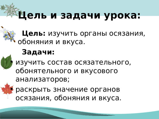 Цель и задачи урока:  Цель:  изучить органы осязания, обоняния и вкуса.  Задачи: изучить состав осязательного, обонятельного и вкусового анализаторов; раскрыть значение органов осязания, обоняния и вкуса. 