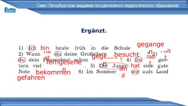 Ergänzt . gegangen bin Hast hast besucht gegessen habt hat ferngesehen sind bekommen gefahren 