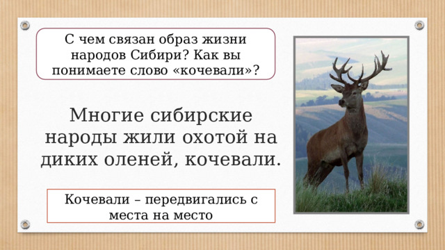 С чем связан образ жизни народов Сибири? Как вы понимаете слово «кочевали»? Многие сибирские народы жили охотой на диких оленей, кочевали. Кочевали – передвигались с места на место 