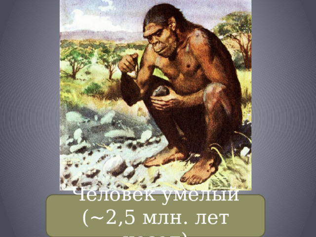 Человек умелый (~2,5 млн. лет назад) 
