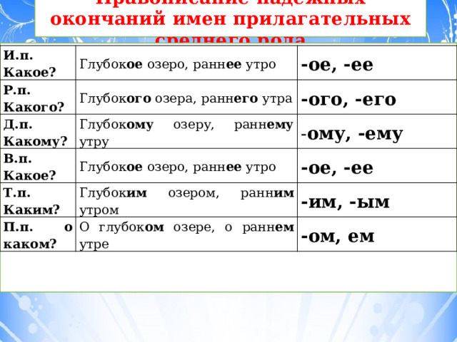 Правописание падежных окончаний имен прилагательных в единственном числе