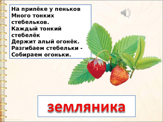 На припёке у пеньков  Много тонких стебельков.  Каждый тонкий стебелёк  Держит алый огонёк.  Разгибаем стебельки -  Собираем огоньки. 