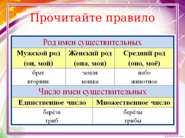 Род имен существительных — Как правильно определить?