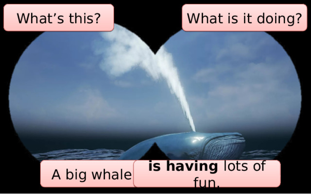 What’s this? What is it doing? A big whale is having lots of fun. 