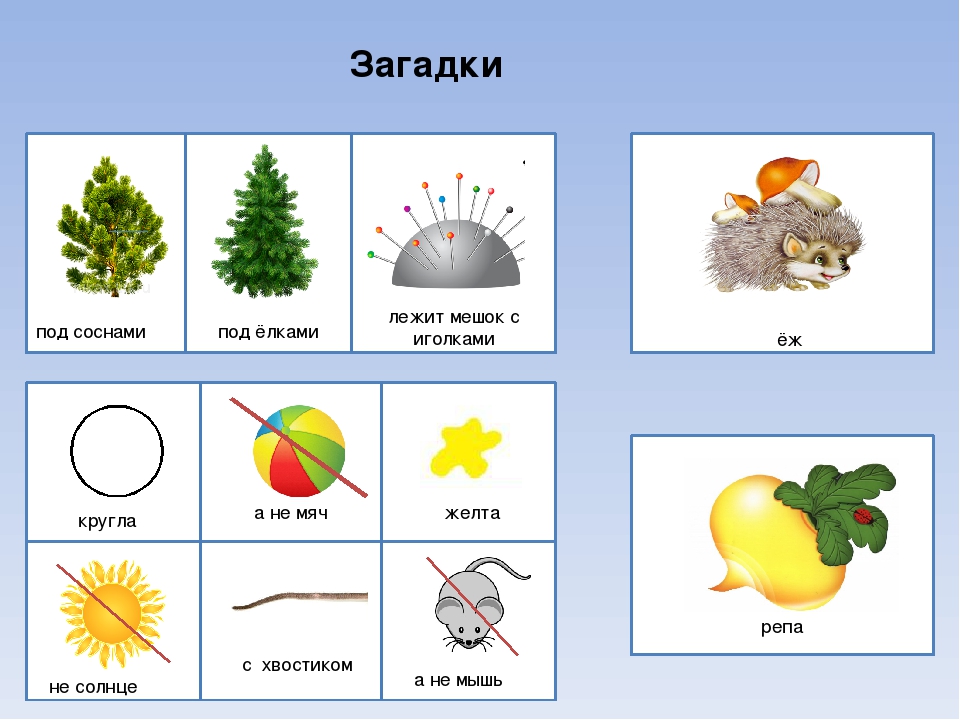 Мнемодорожки загадки для дошкольников в картинках