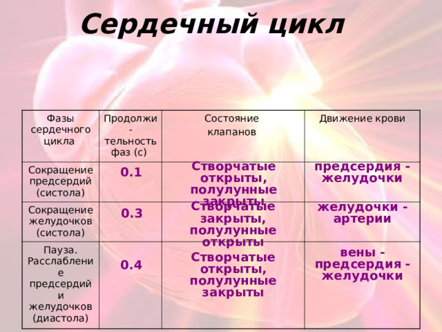 Сердечный цикл таблица