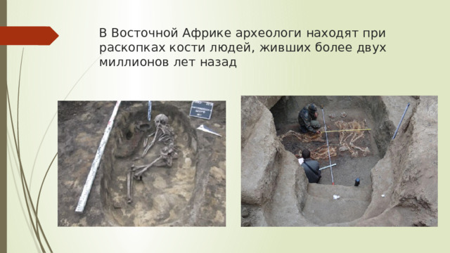 В Восточной Африке археологи находят при раскопках кости людей, живших более двух миллионов лет назад 