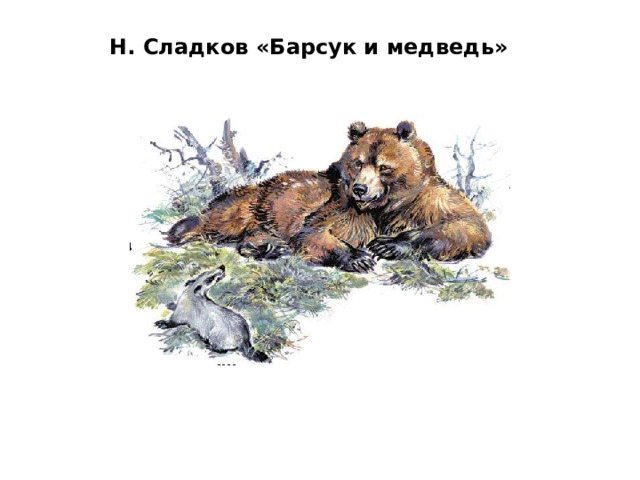 Н. Сладков «Барсук и медведь» 