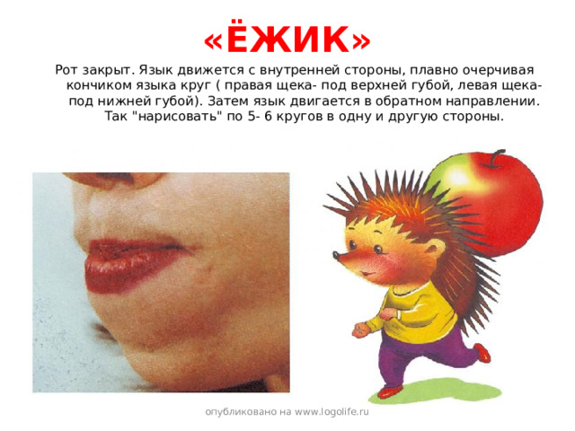 «ЁЖИК» Рот закрыт. Язык движется с внутренней стороны, плавно очерчивая кончиком языка круг ( правая щека- под верхней губой, левая щека- под нижней губой). Затем язык двигается в обратном направлении. Так 