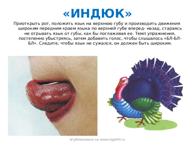 «ИНДЮК» Приоткрыть рот, положить язык на верхнюю губу и производить движения широким передним краем языка по верхней губе вперед- назад, стараясь не отрывать язык от губы, как бы поглаживая ее. Темп упражнения, постепенно убыстряясь, затем добавить голос, чтобы слышалось «БЛ-БЛ-БЛ». Следите, чтобы язык не сужался, он должен быть широким. опубликовано на www.logolife.ru 