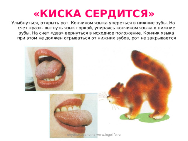 «КИСКА СЕРДИТСЯ» Улыбнуться, открыть рот. Кончиком языка упереться в нижние зубы. На счет «раз»- выгнуть язык горкой, упираясь кончиком языка в нижние зубы. На счет «два» вернуться в исходное положение. Кончик языка при этом не должен отрываться от нижних зубов, рот не закрывается опубликовано на www.logolife.ru 