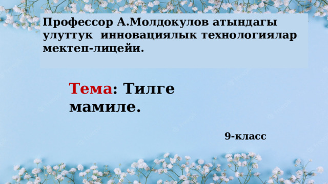 Профессор А.Молдокулов атындагы улуттук инновациялык технологиялар мектеп-лицейи.  Тема : Тилге мамиле. 9-класс 