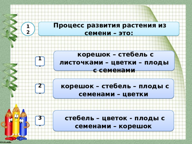  Процесс развития растения из семени – это: 12  корешок – стебель с листочками – цветки – плоды с семенами 1.  корешок – стебель – плоды с семенами – цветки 2.  стебель – цветок - плоды с семенами – корешок 3. 