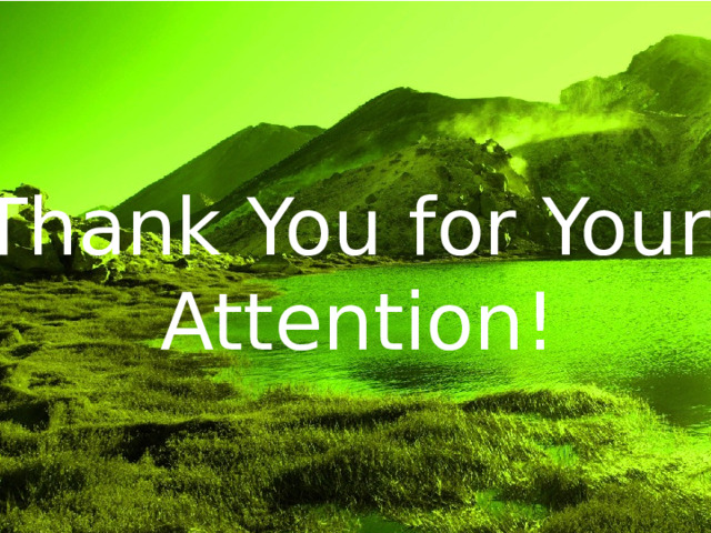 Thank You for Your Attention! 