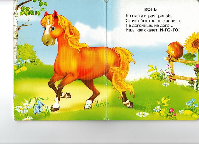 Купи коня стихотворение. Стих про лошадь для детей. Стих про лошадку для детей. Стихотворение о лошади детские. Стих про лошадку для детей короткие.