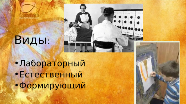 Виды : Лабораторный Естественный Формирующий 