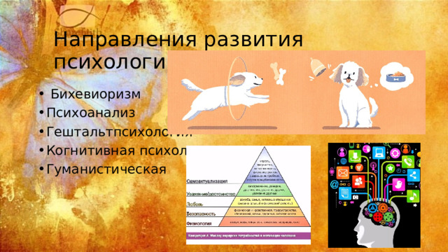 Направления развития психологии как науки  Бихевиоризм Психоанализ Гештальтпсихология Когнитивная психология Гуманистическая 