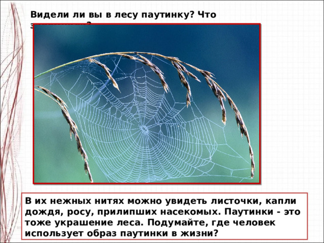 Веточки деревьев с росой и паутинкой изо 2 класс презентация