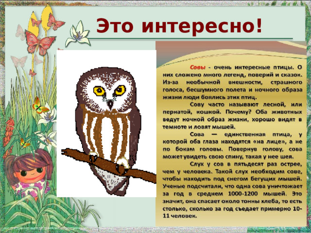 Сова презентация для 1 класса