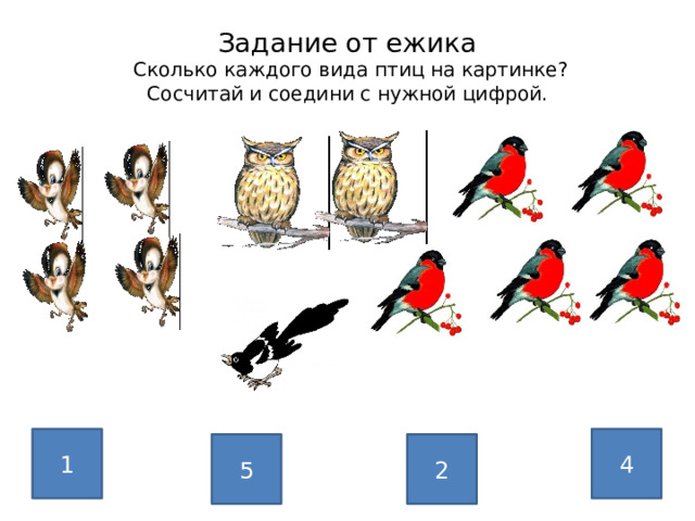 Задание от ежика  Сколько каждого вида птиц на картинке?  Сосчитай и соедини с нужной цифрой. 1 4 2 5 