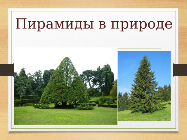 Пирамиды в природе 
