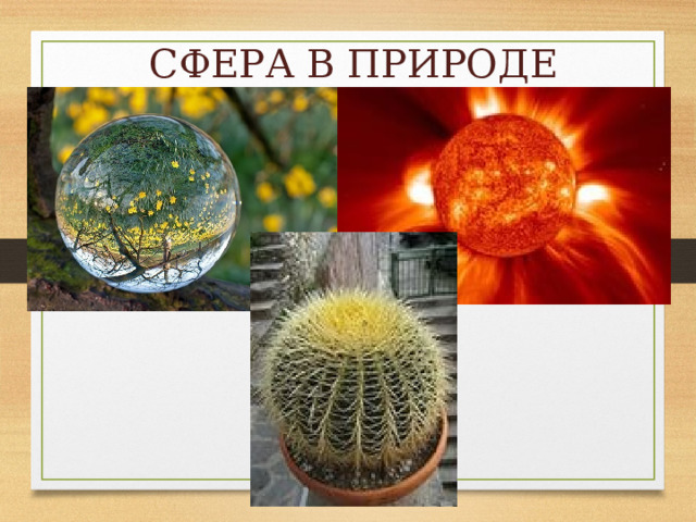 СФЕРА В ПРИРОДЕ 