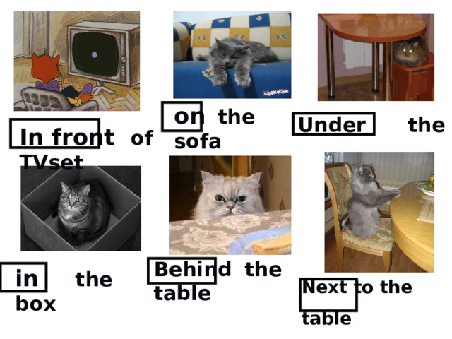 on  the sofa Under the table In front of TVset Behind  the table in  the box Next to the table  