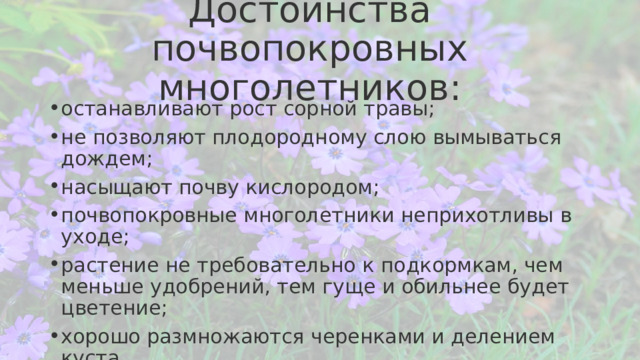 Достоинства почвопокровных многолетников:   останавливают рост сорной травы; не позволяют плодородному слою вымываться дождем; насыщают почву кислородом; почвопокровные многолетники неприхотливы в уходе; растение не требовательно к подкормкам, чем меньше удобрений, тем гуще и обильнее будет цветение; хорошо размножаются черенками и делением куста. 