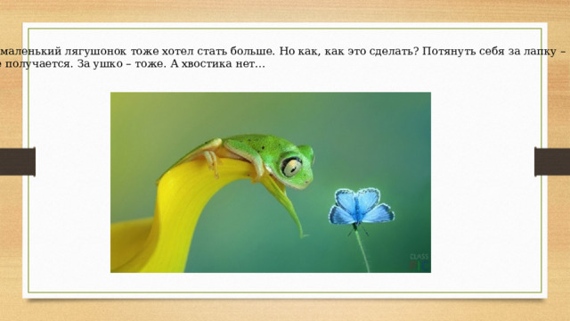 А маленький лягушонок тоже хотел стать больше. Но как, как это сделать? Потянуть себя за лапку – не получается. За ушко – тоже. А хвостика нет… 