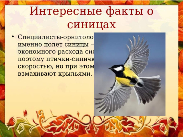 Интересные факты о синицах Специалисты-орнитологи утверждают, что именно полет синицы — это яркий пример экономного расхода сил и энергии. Именно поэтому птички-синички летают с огромной скоростью, но при этом довольно редко взмахивают крыльями. 