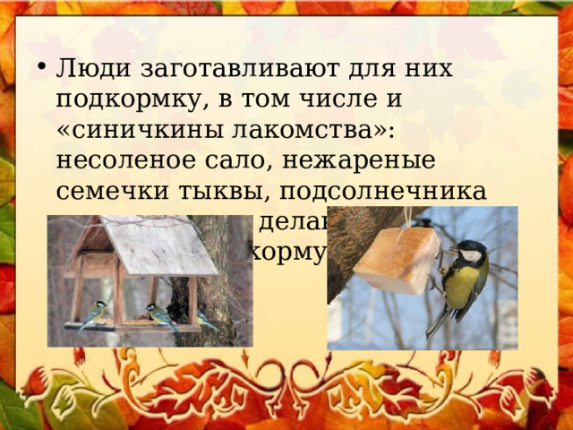 Люди заготавливают для них подкормку, в том числе и «синичкины лакомства»: несоленое сало, нежареные семечки тыквы, подсолнечника или арахиса, – делают и развешивают кормушки. 