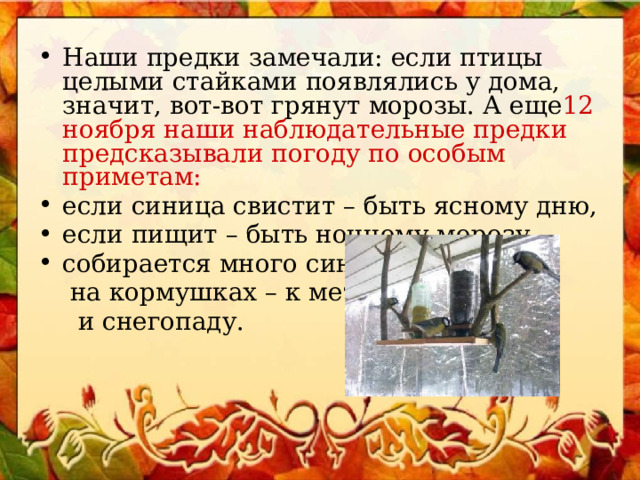 Наши предки замечали: если птицы целыми стайками появлялись у дома, значит, вот-вот грянут морозы. А еще 12 ноября наши наблюдательные предки предсказывали погоду по особым приметам: если синица свистит – быть ясному дню, если пищит – быть ночному морозу, собирается много синиц  на кормушках – к метели  и снегопаду. 