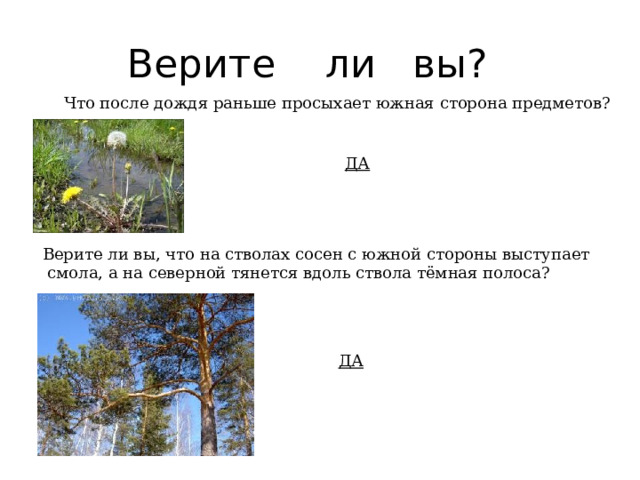  Верите ли вы? Что после дождя раньше просыхает южная сторона предметов? ДА Верите ли вы, что на стволах сосен с южной стороны выступает  смола, а на северной тянется вдоль ствола тёмная полоса? ДА 