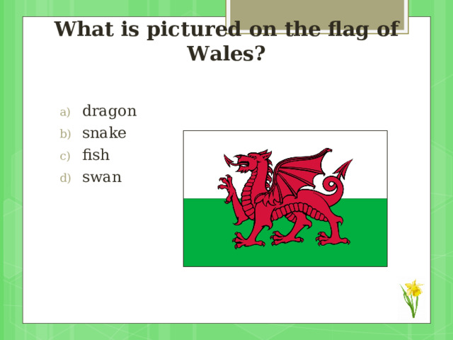 What  is pictured on the flag of Wales? dragon snake fish swan 