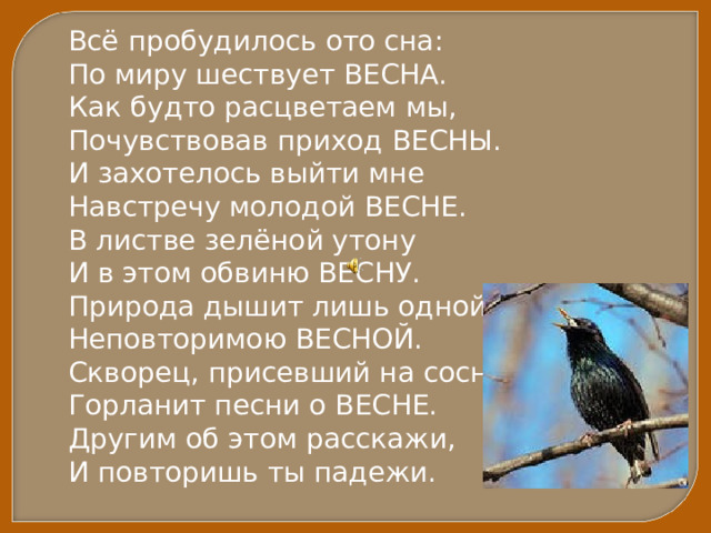 Пробудился ото сна. Пробудиться ото сна. Весной все пробуждается ото сна. Все пробудилось ото сна. Природа просыпается ото сна.