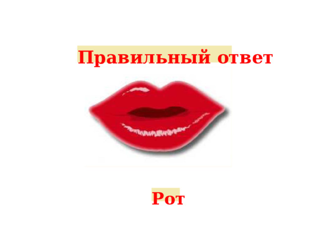 Правильный ответ Рот 