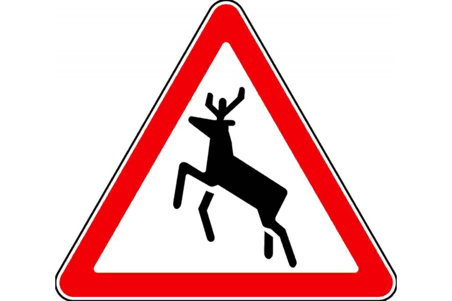 Дорожный знак олень. Дорожный знак 1.27. Знак 1.27. Дикие животные. Предупреждающие знаки. Дорожный знак Дикие животные.