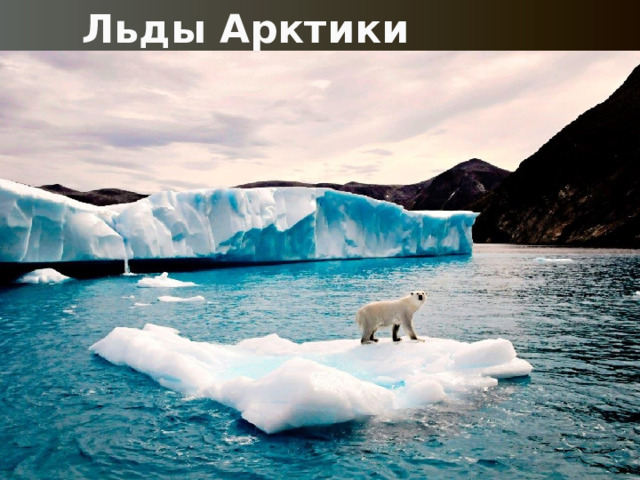 Льды Арктики 