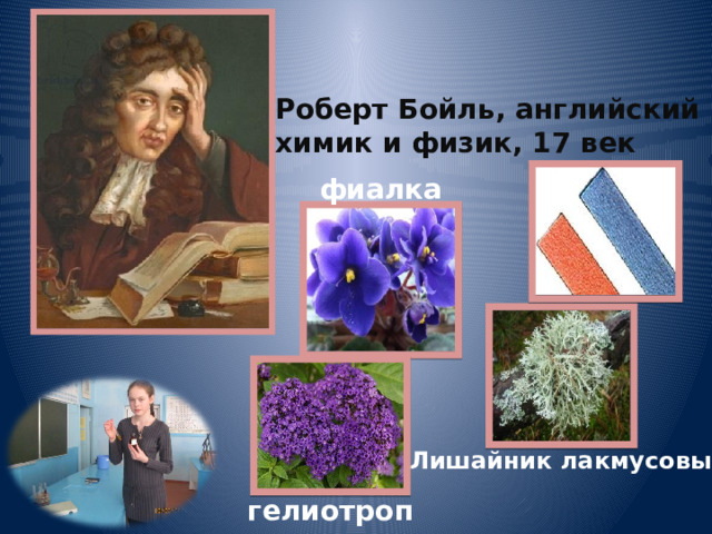 Роберт Бойль, английский химик и физик, 17 век фиалка Лишайник лакмусовый гелиотроп 