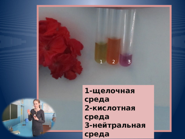 1 2 3 1-щелочная среда 2-кислотная среда 3-нейтральная среда 