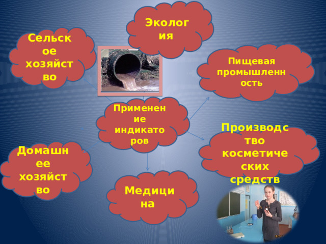 Экология  Сельское хозяйство Пищевая промышленность Применение индикаторов Производство косметических средств Домашнее хозяйство Медицина 