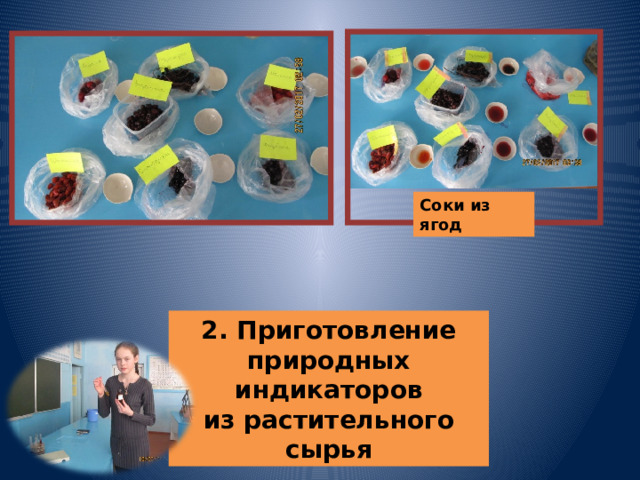 Соки из ягод 2. Приготовление природных индикаторов из растительного сырья 