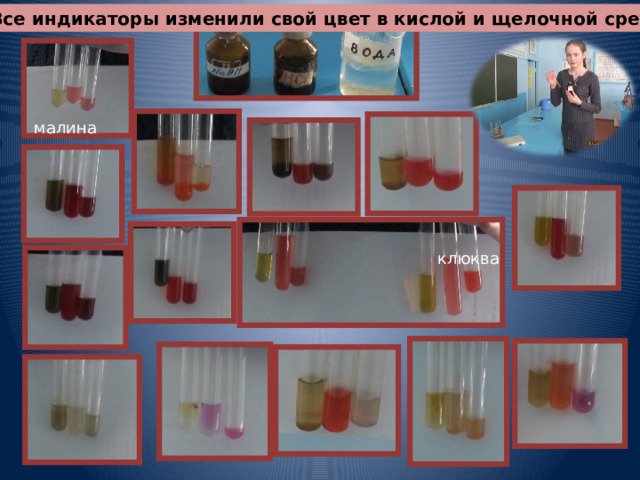 1.Все индикаторы изменили свой цвет в кислой и щелочной среде . малина черемуха клюква шиповник голубика 