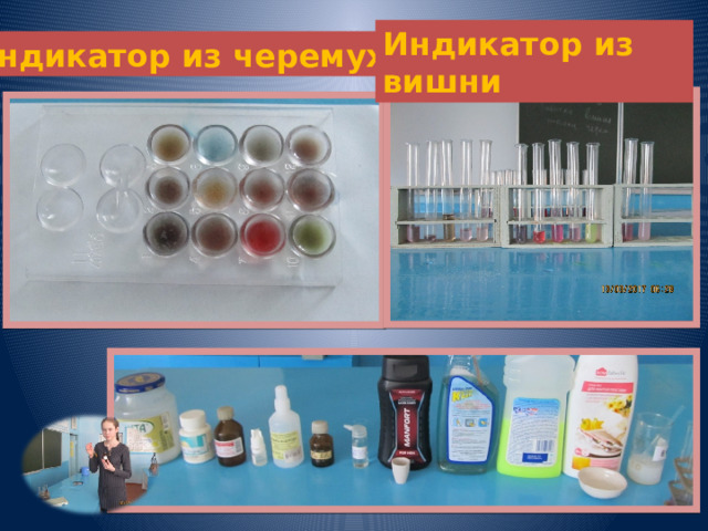 Индикатор из вишни Индикатор из черемухи 
