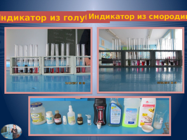 Индикатор из смородины Индикатор из голубики 
