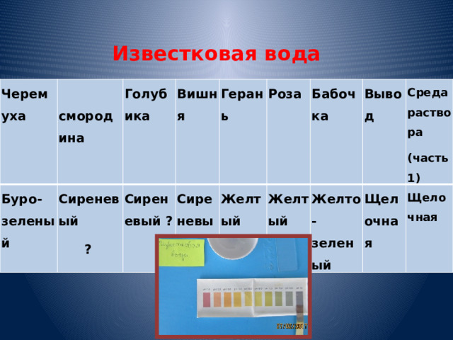 Известковая вода Черемуха  смородина Буро-зеленый Сиреневый Голубика Вишня ? Сиреневый ? Сиреневый ? Герань Роза Желтый Бабочка Желтый Вывод Желто-зеленый Среда раствора Щелочная (часть1) Щелочная 